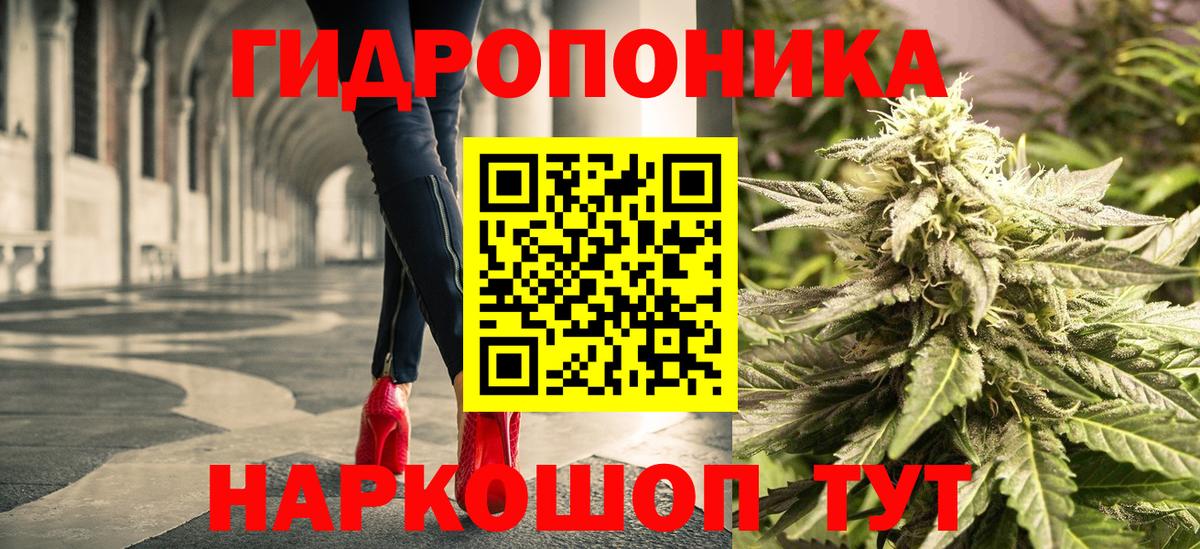 Конопля MAZAR  Бошки Шишки AK-47  Вход с VPN  Камень-на-Оби 